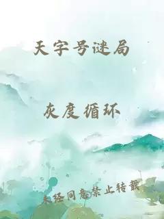 天字号谜局